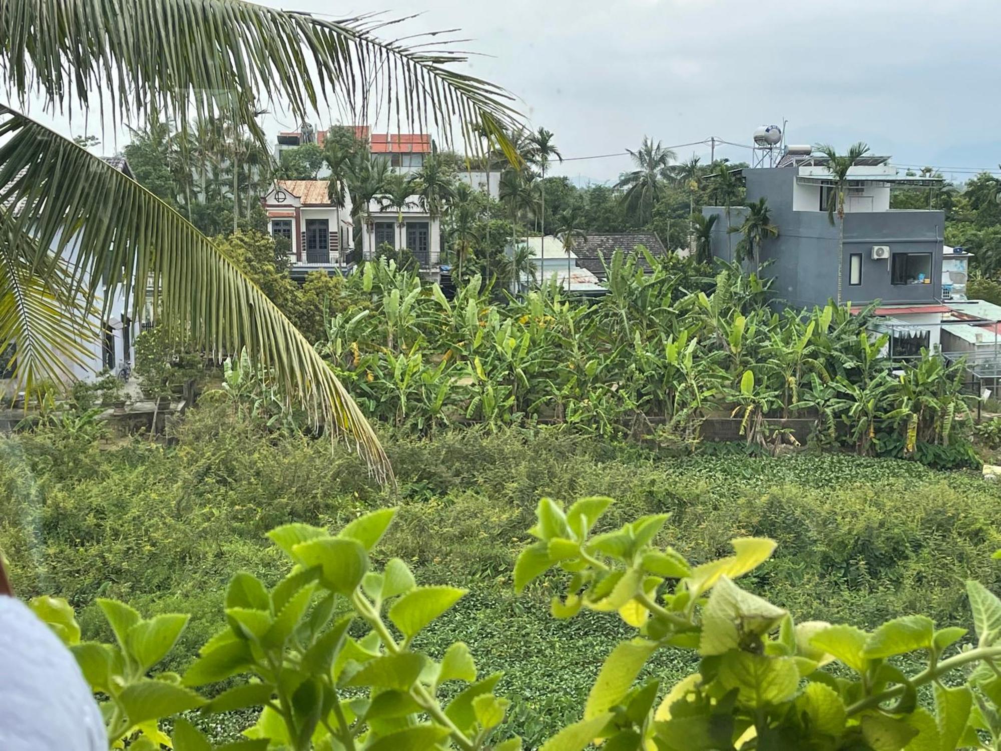 הוילה Hoi An Ti Hon House מראה חיצוני תמונה
