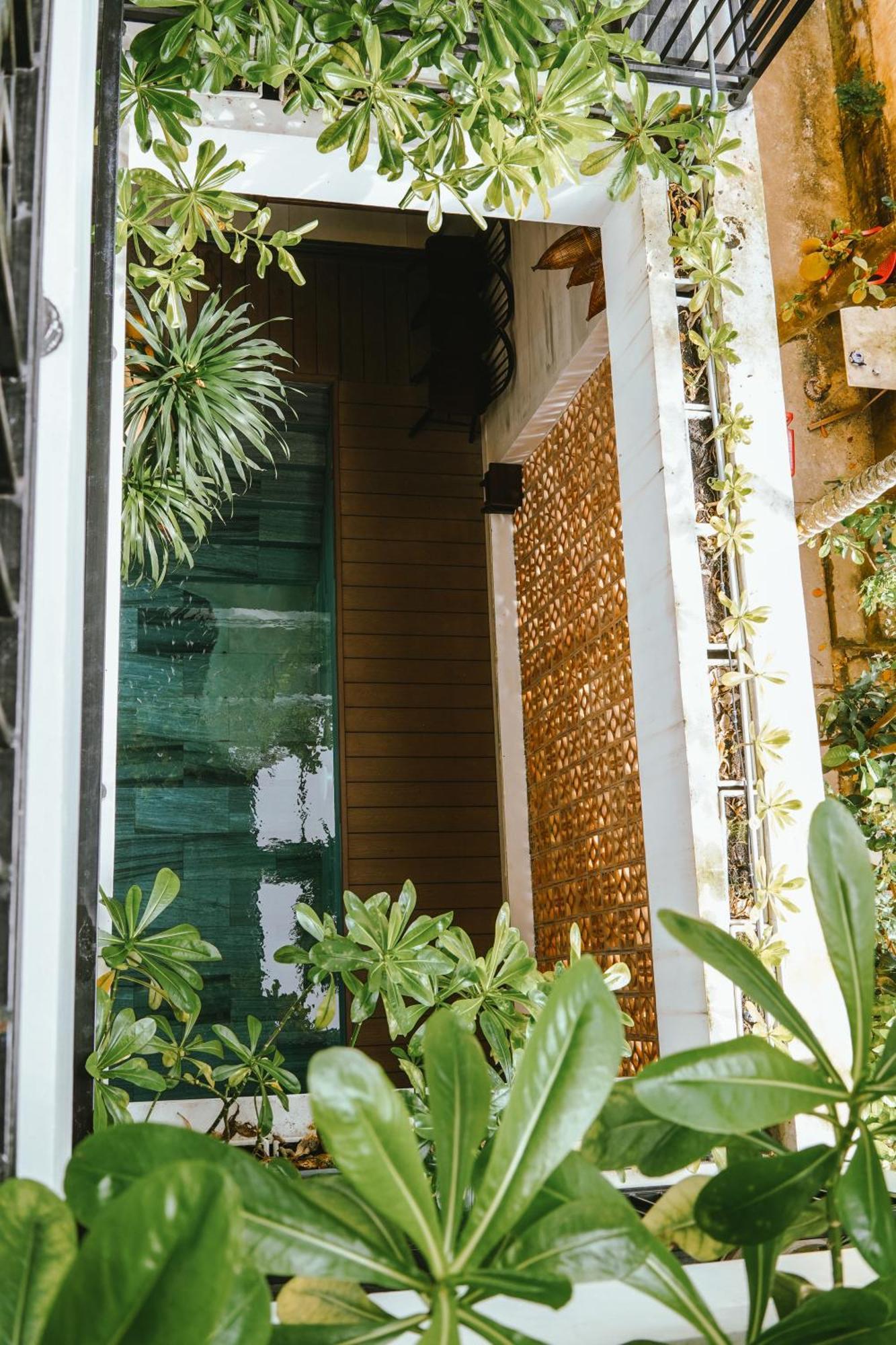 הוילה Hoi An Ti Hon House מראה חיצוני תמונה